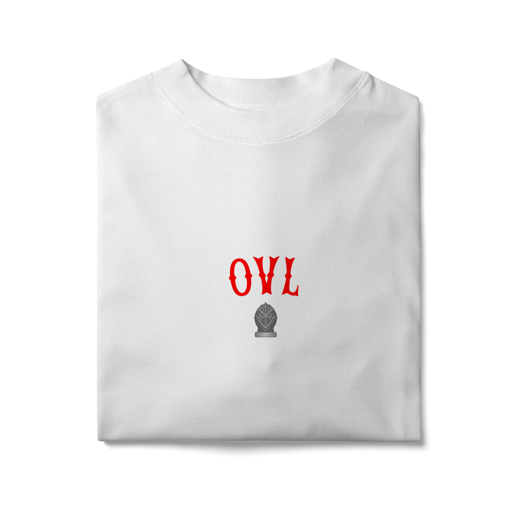 Camiseta Oversized - Biceps